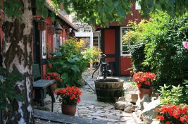 Create a Beautiful Garden Oasis in Your Own Backyard